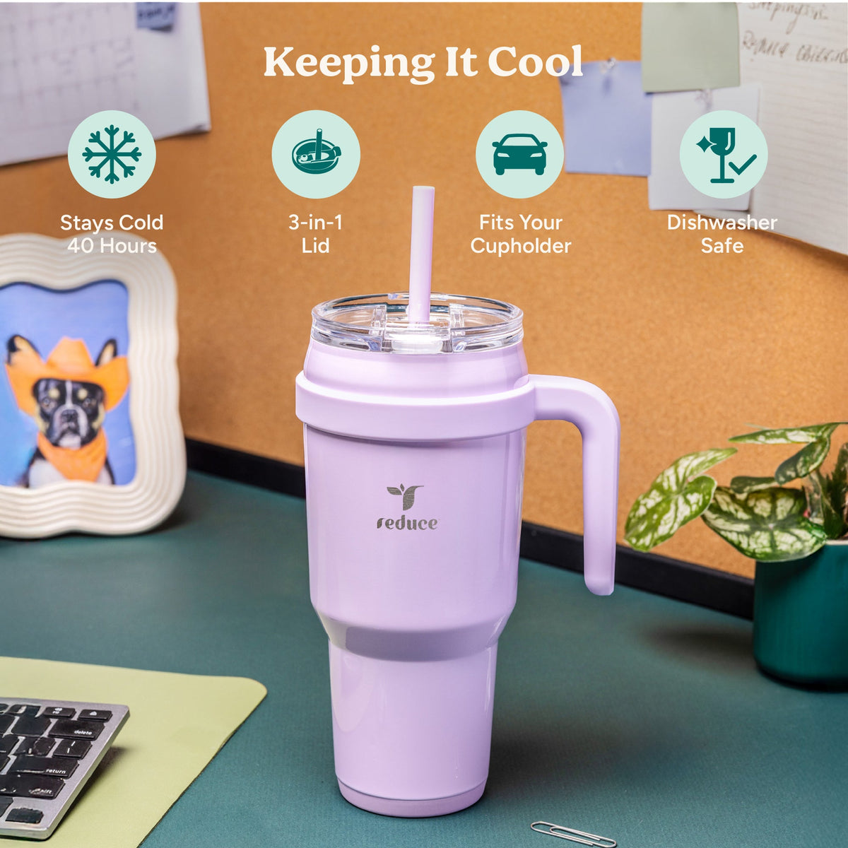 cold1-40-oz-h1 Cold1_40oz_PalmLeaf_Infographic_1.jpg
